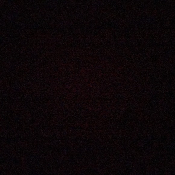 Meet your Posher, Diya - Picture 1 of 1